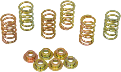 Barnett #505-57-06007 - Clutch Spring Kit