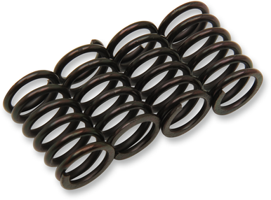 Barnett #501-40-04058 - Clutch Spring Kit