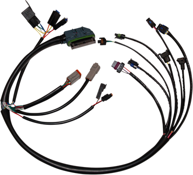 Namz EFI - Harness (#NHD-70233-02)