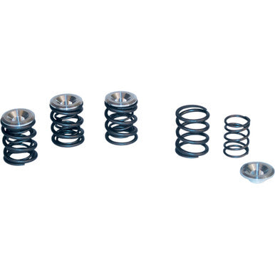 S&S Cycle #90-2053 - Valve Spring Kit - 0.550" Lift - Panhead | Shovelhead Engines '48-'84