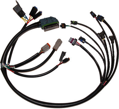 Namz Custom Cycle #NHD-70233-02 - Complete Efi Harness 02-03