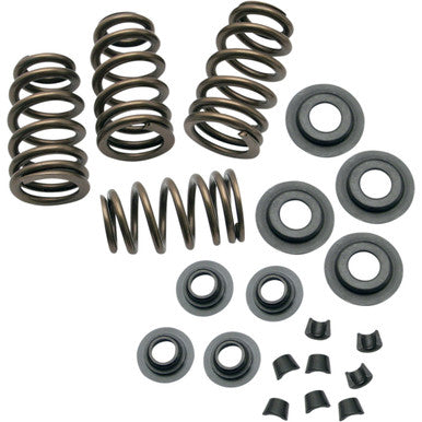 S&S Cycle #900-0050 - Valve Spring Kit - 0.650" - Sidewinder® - Twin Cam '99-'04 | XL '86-'03