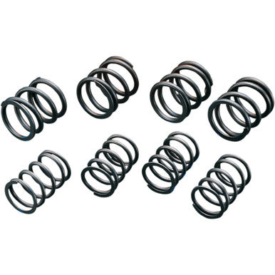 Andrews #272110 - High-Lift Valve Springs